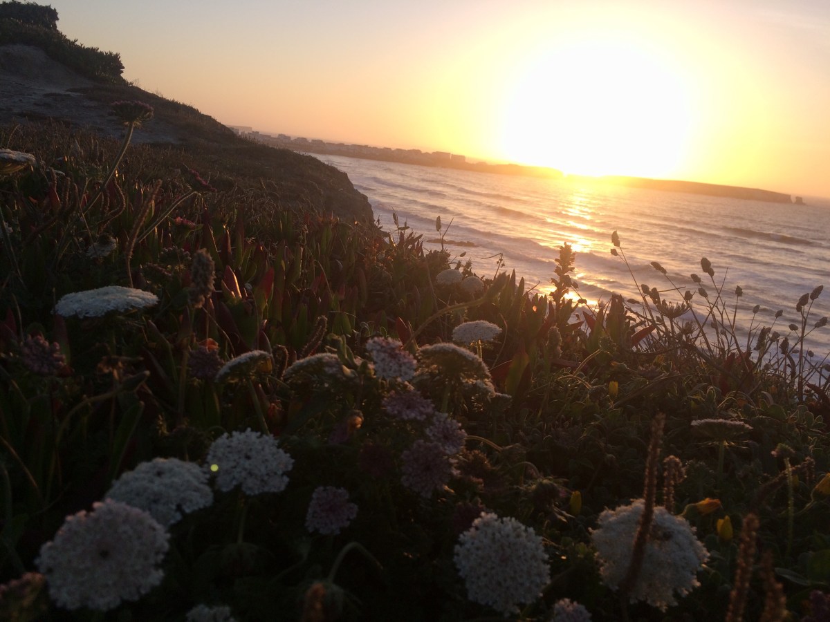 Portugal Road Trip: Porto to Faro and in-between in 7&nbsp;days